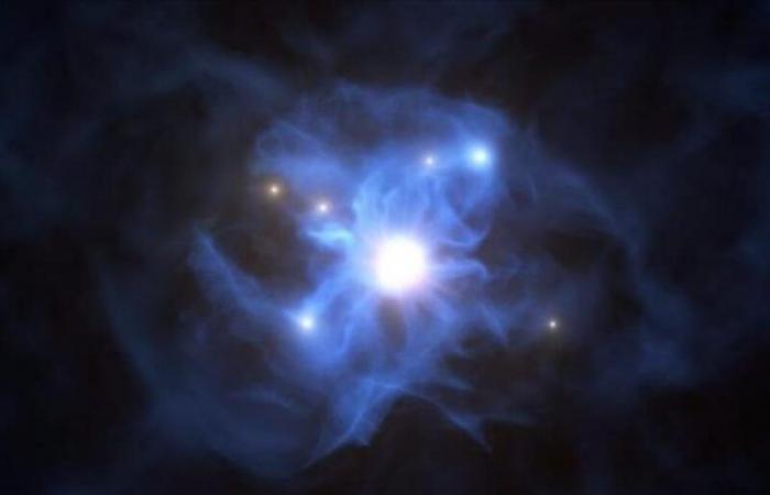 The discovery of a tangled network of galaxies in a supermassive...