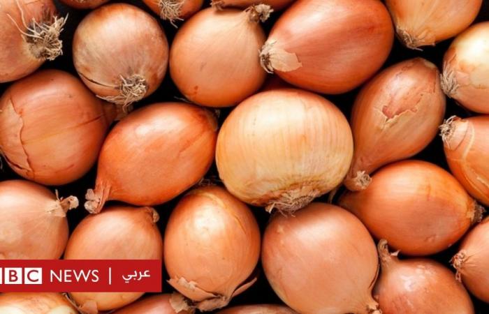 Facebook cancels an ad for “sexy” onions