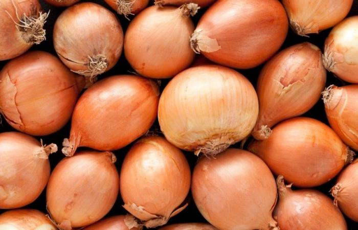 Facebook cancels an ad for “sexy” onions