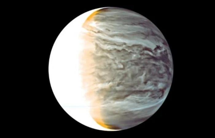 Is the existence of life on Venus bad news for humanity?