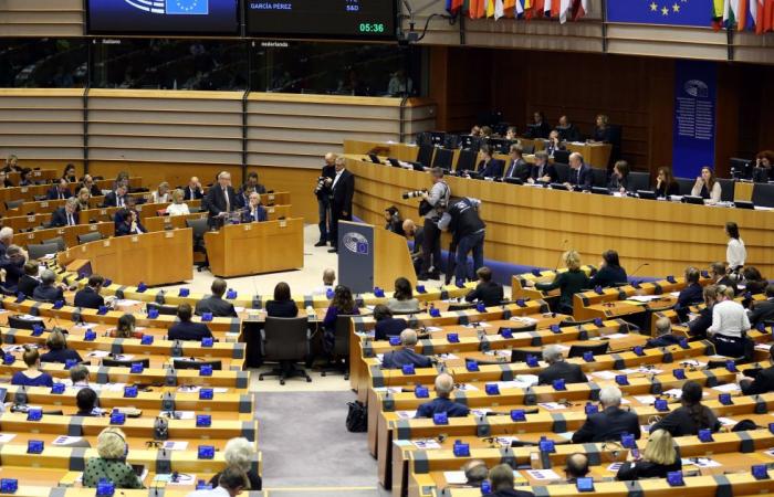 The European Parliament recommends reducing representation in the G20 summit in...