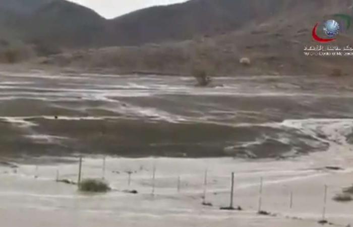Weather: heavy rain hits parts of UAE and causes flooding on roads