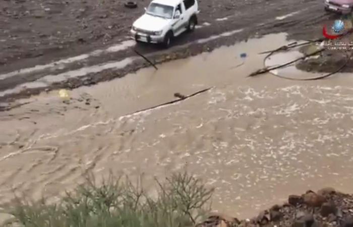 Heavy rain hits northern UAE causing flooding on roads