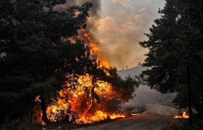 Forest fires under control in Lebanon, Israel and Syria