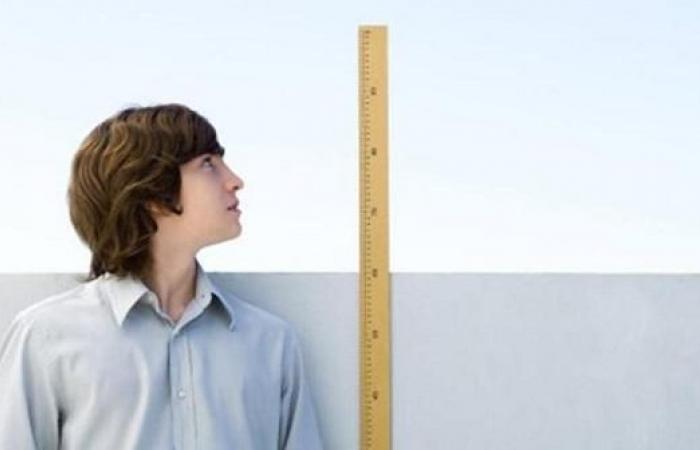 Get to know it … foods that help increase height