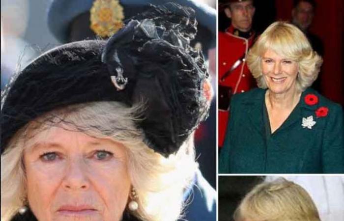 “Meghan Markle was not loaned to Queen Elizabeth’s brooch that Kate...