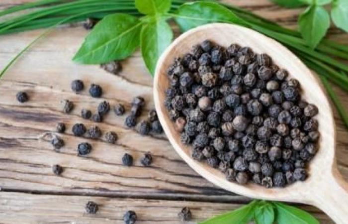 Scientists: Black pepper impedes the penetration and reproduction of the Corona...