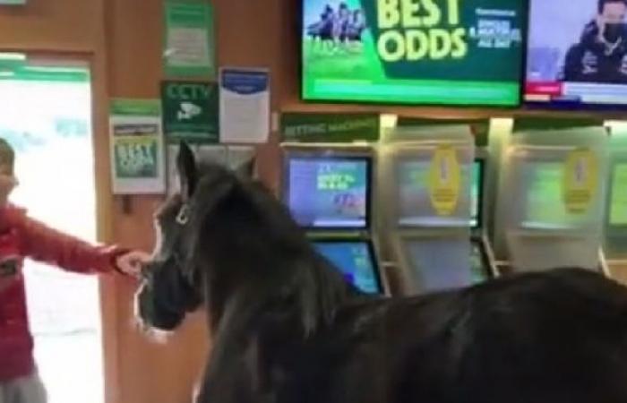Hilarious scenes in which punters in West Dublin bookmakers present the...