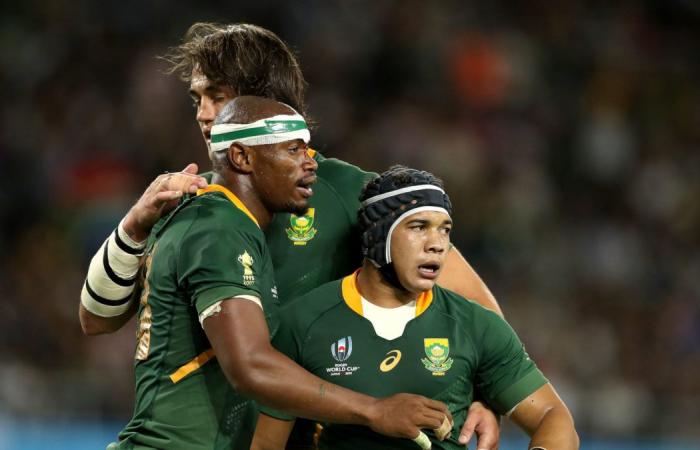 Rumors persist that Springboks will be eliminated from the rugby championship