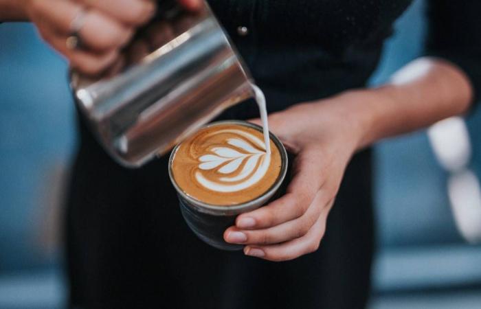 Kmart’s $ 99 coffee maker beats the $ 4,500 espresso machine