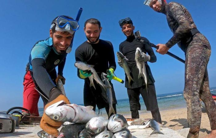 Spearfishing in Gaza, a living improvised under the sea