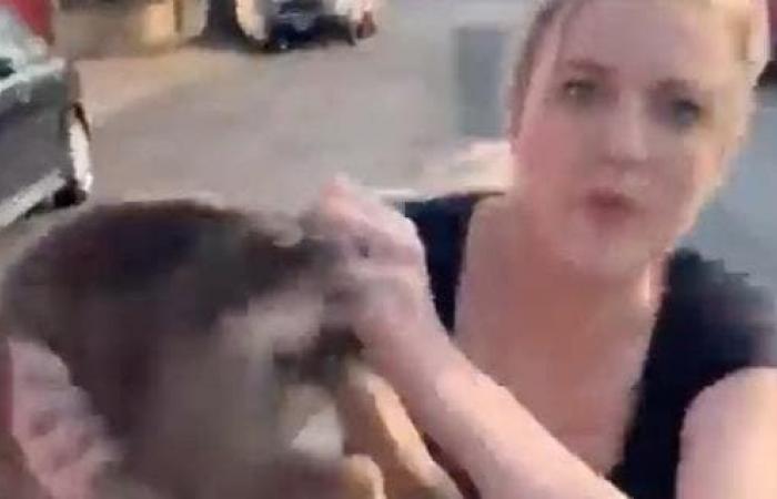 ‘Karen’ hurls a puppy at a black man during a racist...