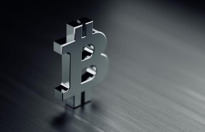 Stone Ridge reveals $ 115 million bitcoin investment as part of...