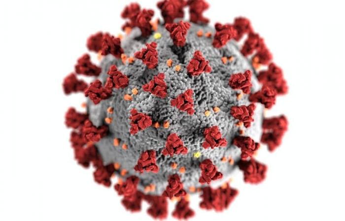 A “new achievement” … a promising drug for the Corona virus...