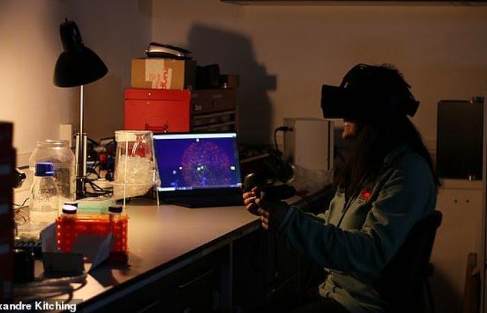 Developing a virtual reality program to roam inside human cells (photos)