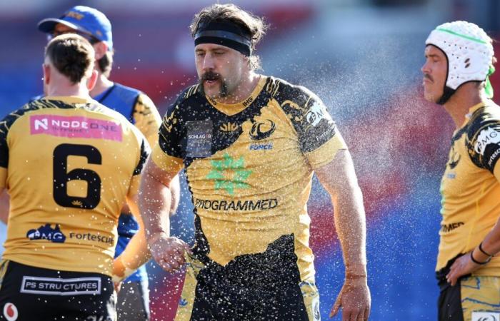 The former All Blacks duo will sign again with Western Force...