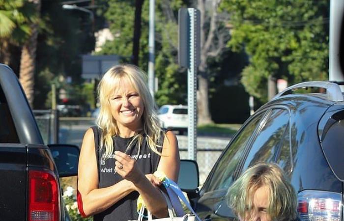 Malin Akerman dons a tank top and animal-themed leggings as she...