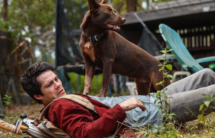 Love and Monsters Review: Dylan O’Brien saves a PG-rated zombie land