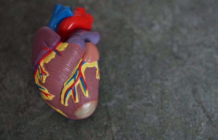The study shows nutrients used by normal and failing hearts