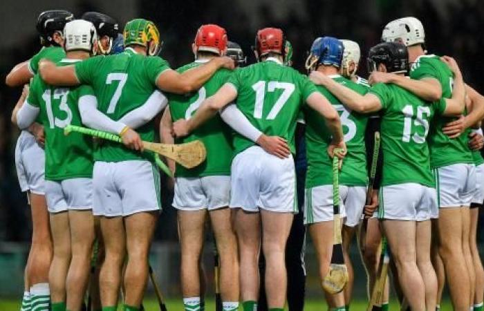 Limerick’s 36-person panel for the 2020 All-Ireland Senior Hurling Championship