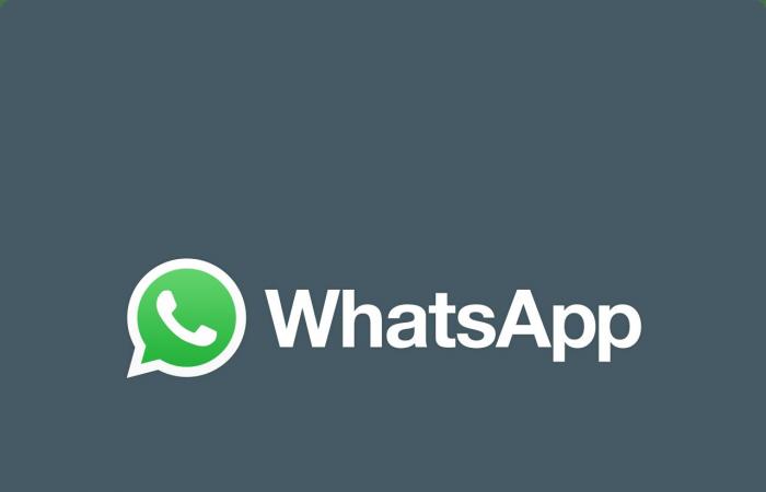 The new beta update shows that WhatsApp is getting in-app support