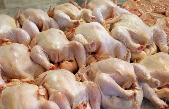 To face the monopoly of poultry farmers … Hidden chickens |...