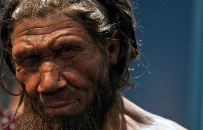 Climate change may have caused early human species to become extinct...