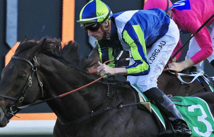 Betting advice, tips for the Caulfield Cup and Everest