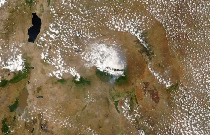 Fire on Kilimanjaro spreads: tourist camp evacuated | Abroad