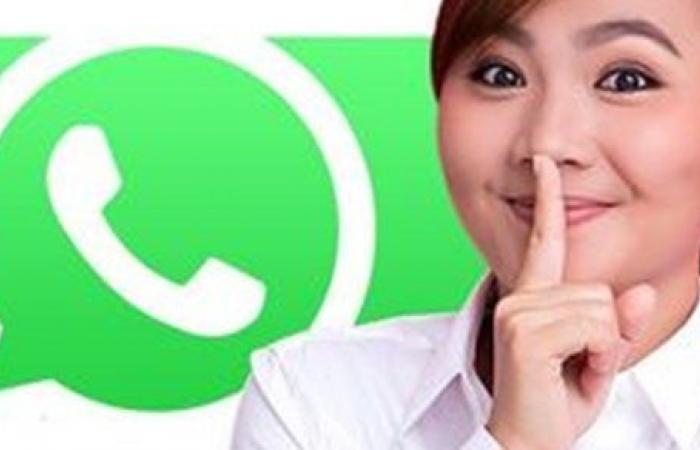 A clever trick to watch WhatsApp cases without the other party...