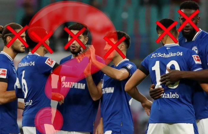 FC Schalke 04: gloomy prospect! S04 threatens a complete sell-out
