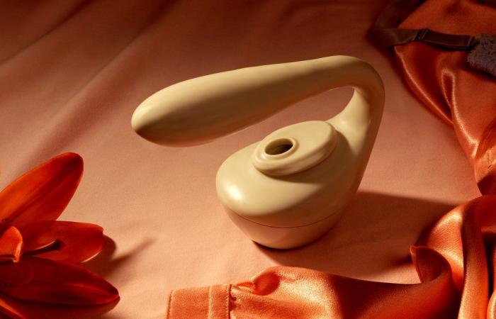 A woman’s high-touch proposition to enliven the sex toy industry