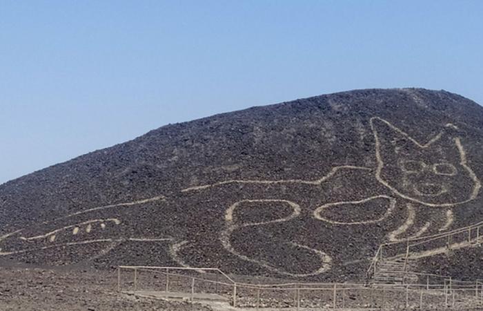 Announce the discovery of a new geoglyph in the Pampa de...