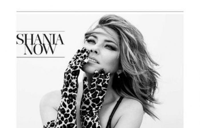 Shania Twain: What happened to her, why did she stop singing...