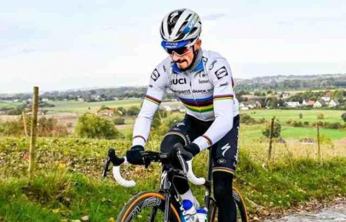 Tour of Flanders: Julian Alaphilippe convinced Deceuninck-Quick Step that he had...