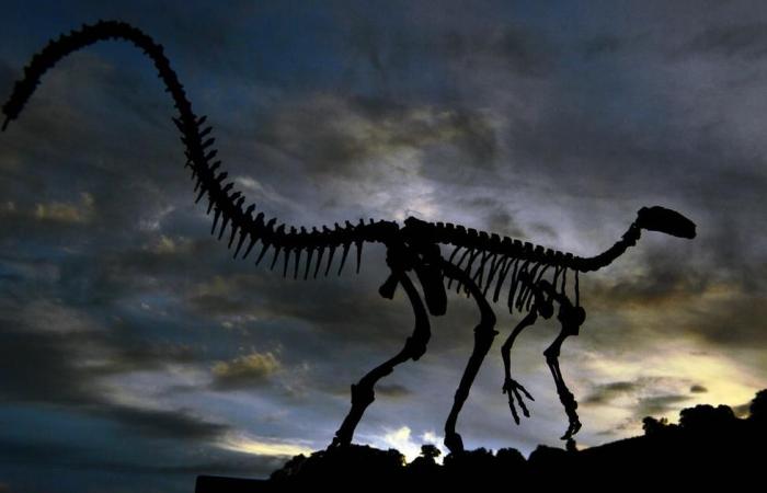 A 12-year-old found a 69 million-year-old dinosaur fossil on a trip...