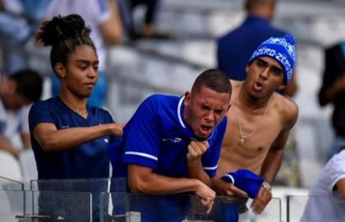 Cruzeiro: Luzi Felipe Scolari new coach of the club to avoid...