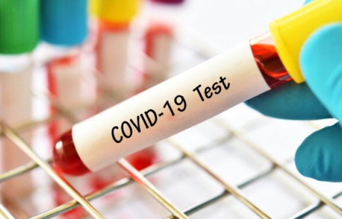 Fresh Blood Test Correctly predict which COVID-19 patients will develop severe...