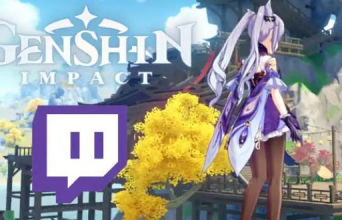 Streamer Spends $ 5K on Genshin Impact, “An Educational Experience”