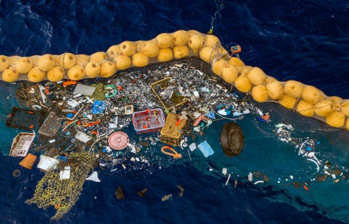 We eat 2000 small pieces of plastic every week. Millions...