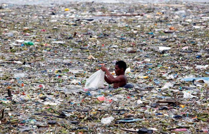 We eat 2000 small pieces of plastic every week. Millions...
