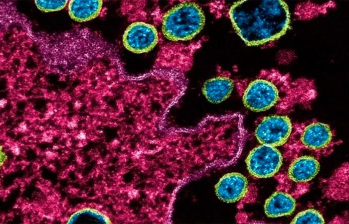 A man suffered a second coronavirus infection worse than the first...
