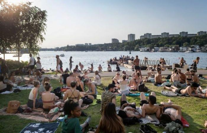 Australian expats in Sweden divide life under the country’s unconventional pandemic...