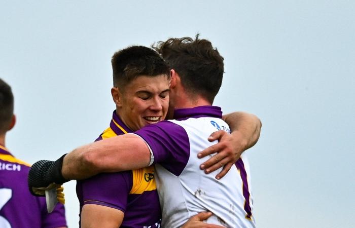 Wexford holds on to revive hopes for a promotion