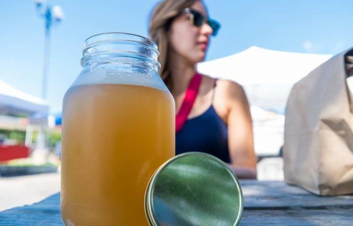 Kombucha, switchel and water kefir: how healthy are these drinks really?