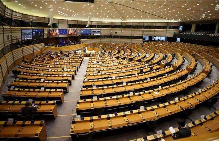 European parliamentarians call for a boycott of the G20 summit headed...