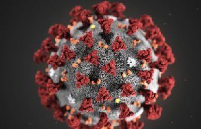A new type of Corona virus was discovered in Norway and...
