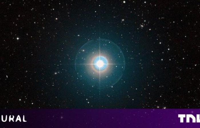 An AI sensor measures the distortion of starlight to identify new...