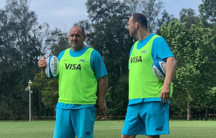 Michael Cheika teams up with Argentina Pumas for the rugby championship