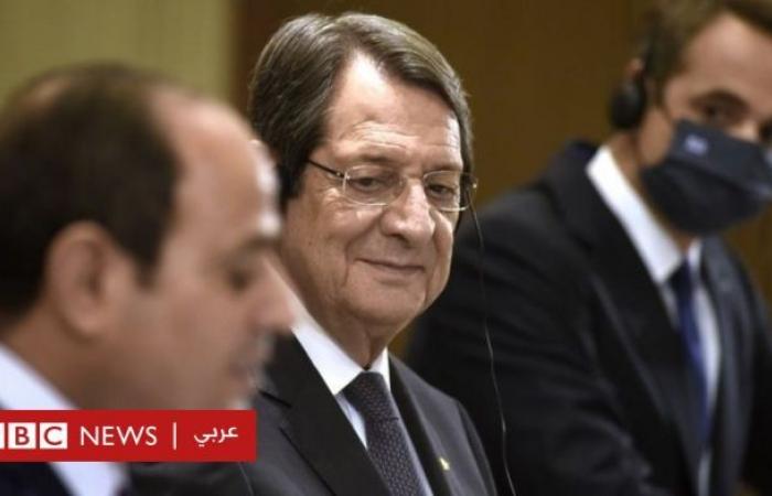 Sisi: We have agreed with Cyprus and Greece to confront “provocative...